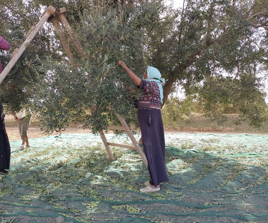 481178298_1042344534582875_590320193099649658_n